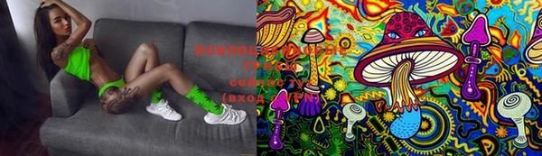 PSILOCYBIN Балахна