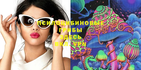 PSILOCYBIN Балахна