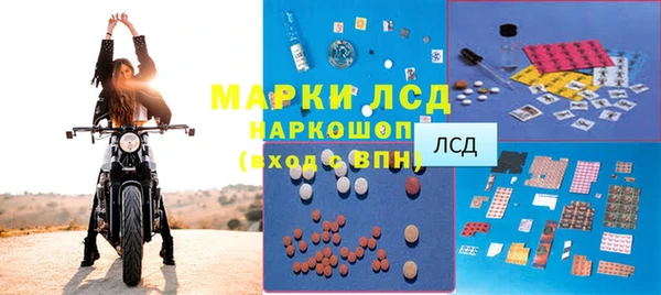 стаф Баксан