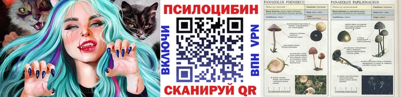 Псилоцибиновые грибы MAGIC MUSHROOMS  МЕГА   Кемерово  цена  